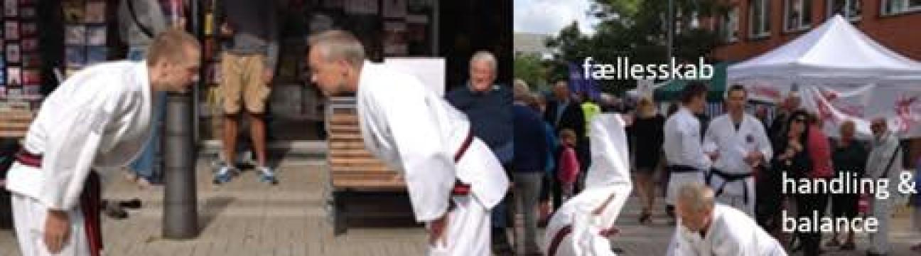 Nihon Jujutsu Fokus Gruppen