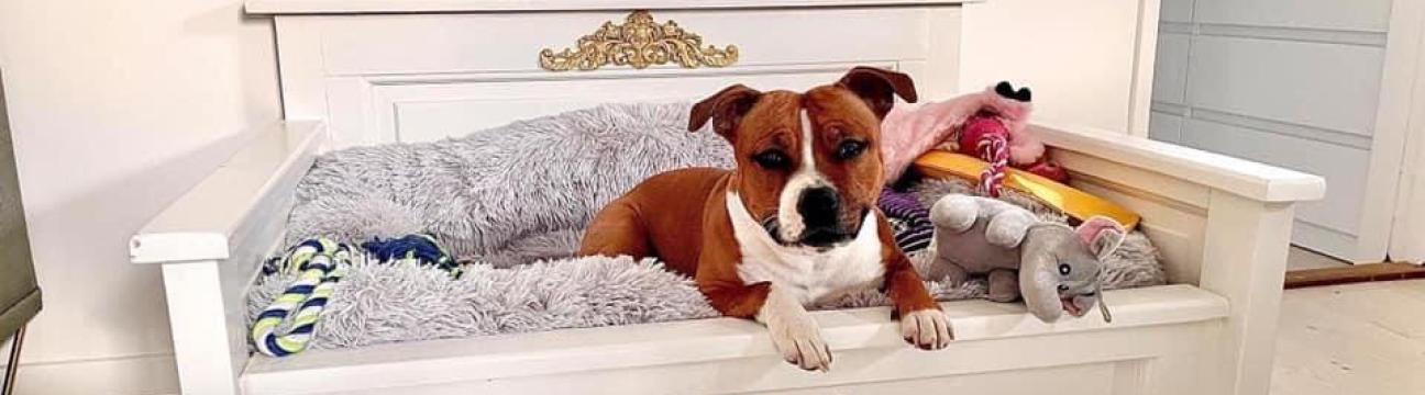 Nordic Dog Beds