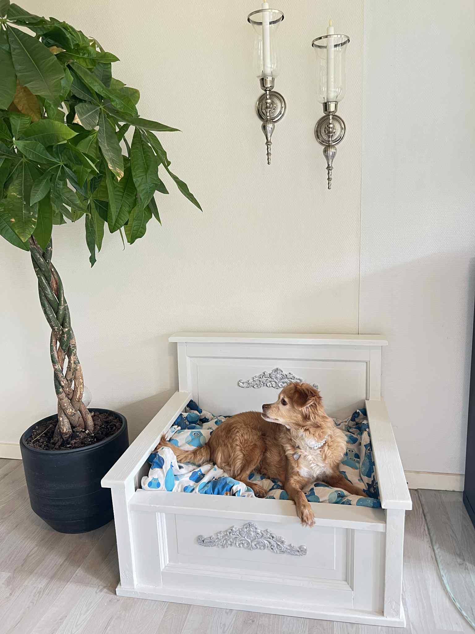 Nordic Dog Beds