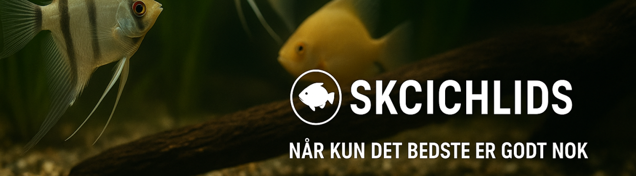 Skcichlids