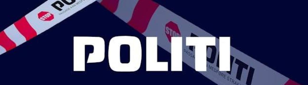 Politi Bot DK