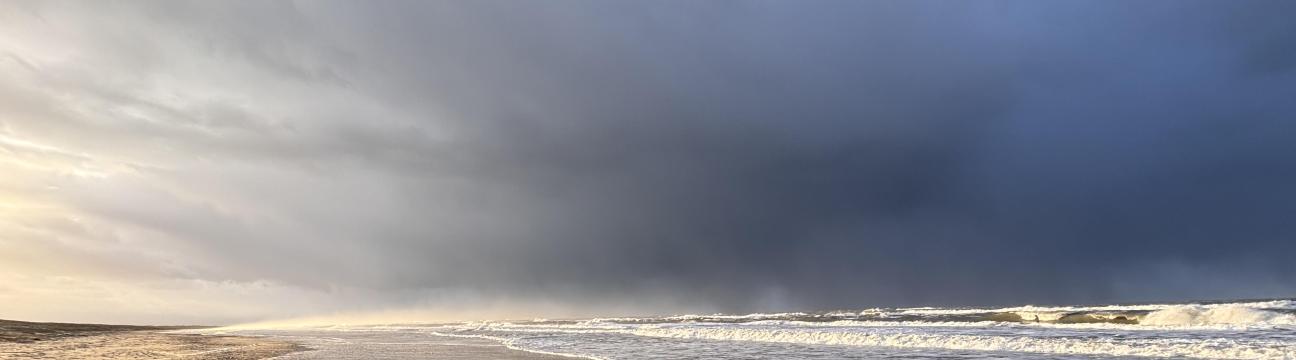 Anders Riksted