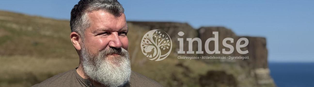 Indse - Indsigt og bevidsthed