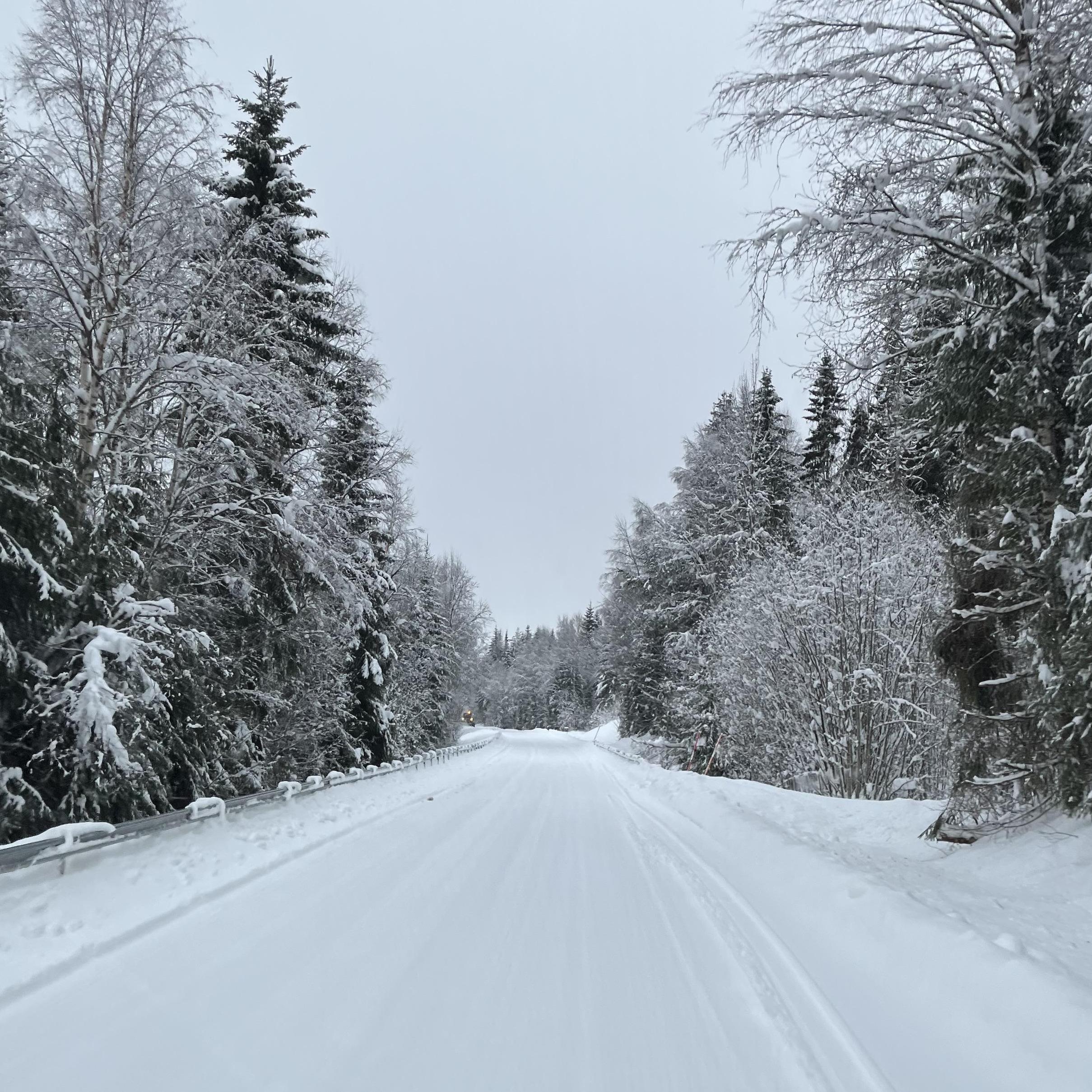 Bran&auml;s 2026 uge 3-4