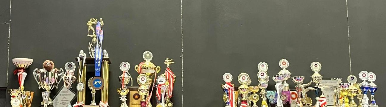 Bushido Karate Organisation 