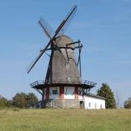 Bog&oslash;